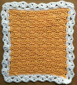 FD037 Textured Dishcloth CB_800