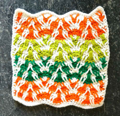 #124 Mosaic Plaid Ripple Crochet Dishcloth ? Maggie Weldon ...
