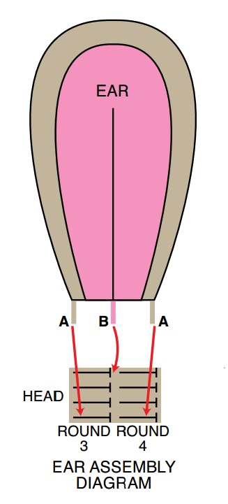 LW4210-Bunny-Comfort-Blankie-Diagram